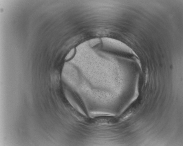 X0000061150228200512092007