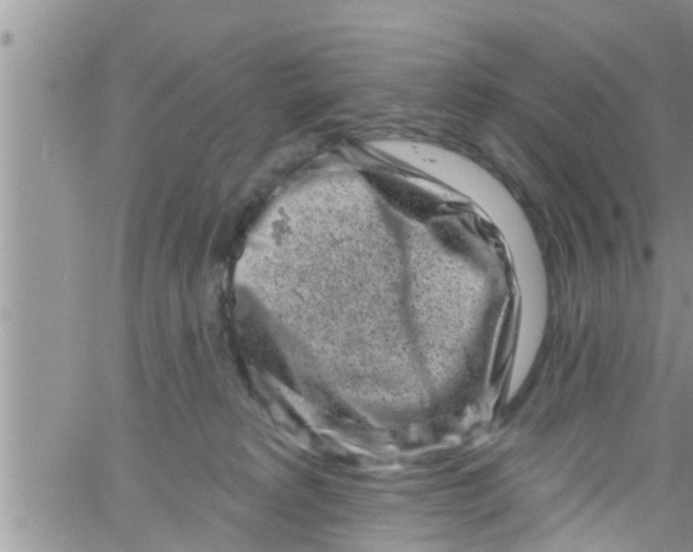 X0000061150229200512092007