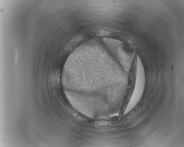 X0000061150230200512092007