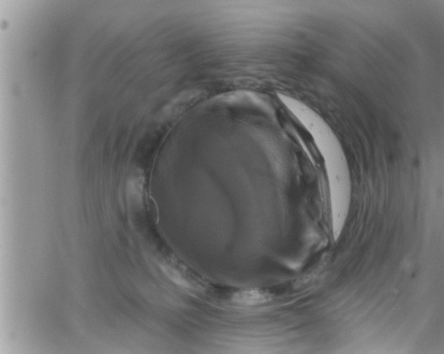 X0000061150231200512092007