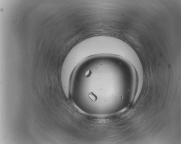 X0000061150233200512092007