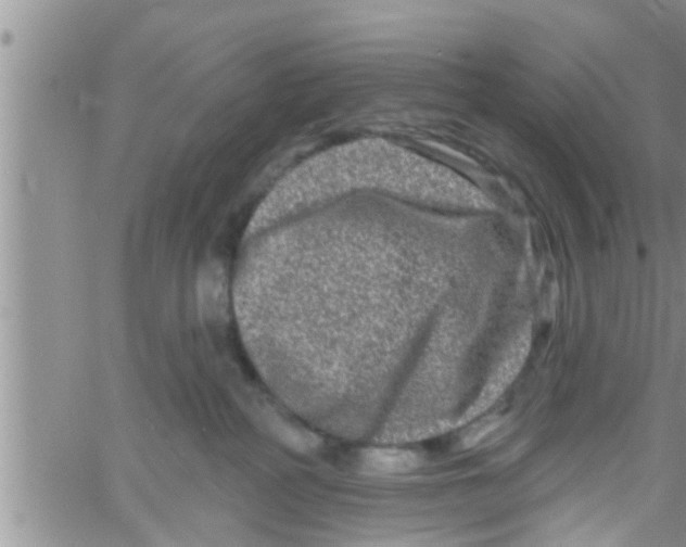 X0000061150234200512092007