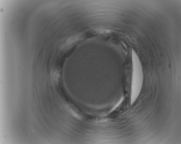 X0000061150235200512092007