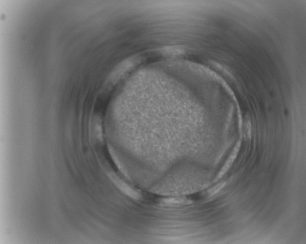 X0000061150238200512092007