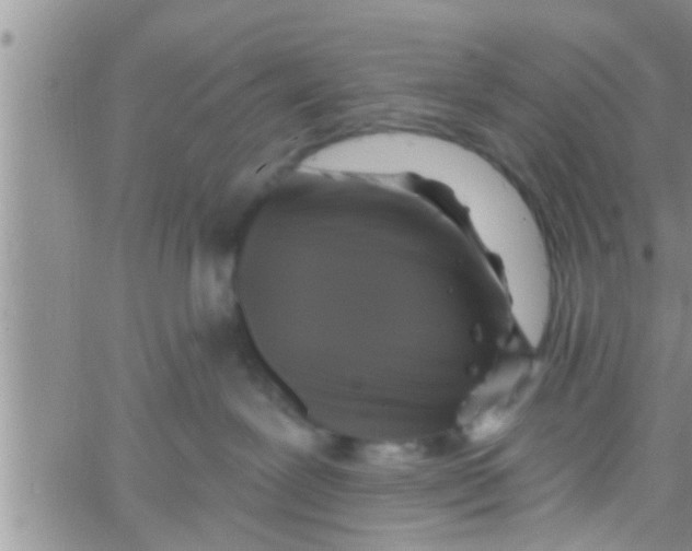 X0000061150239200512092007