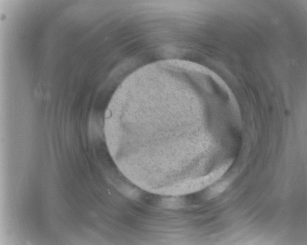 X0000061150240200512092007