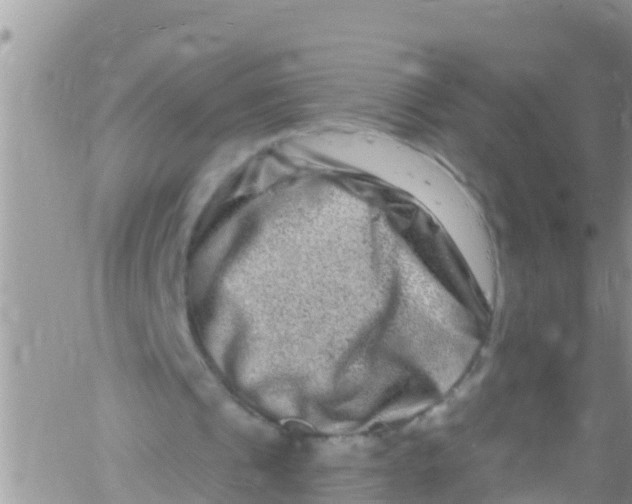 X0000061150241200512092006