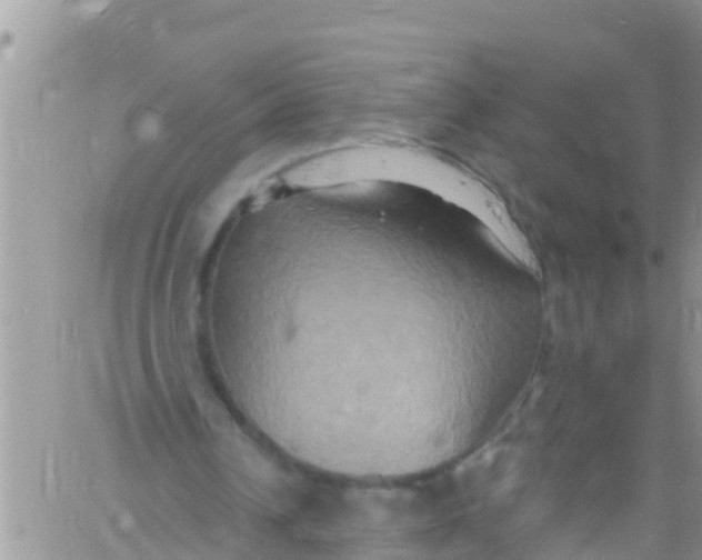 X0000061150242200512092006