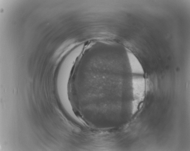 X0000061150243200512092006