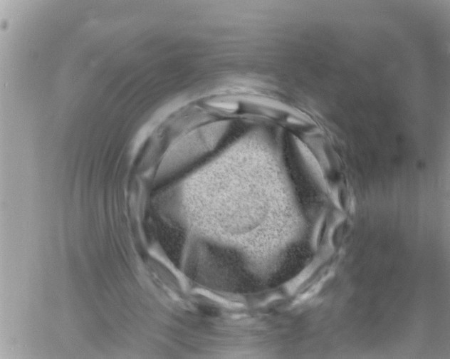 X0000061150244200512092006