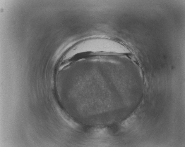 X0000061150247200512092006