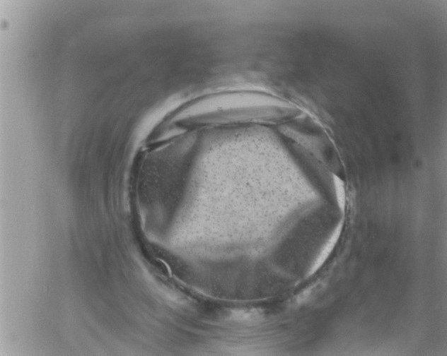 X0000061150248200512092006