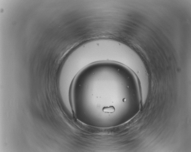 X0000061150251200512092006