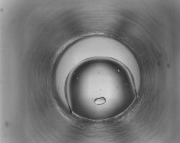 X0000061150252200512092006