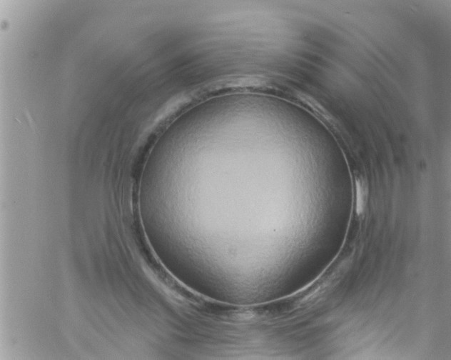 X0000061150253200512092006