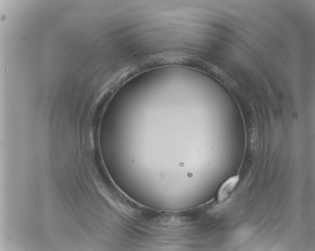 X0000061150254200512092006