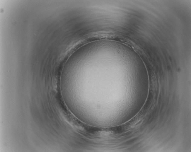 X0000061150255200512092006