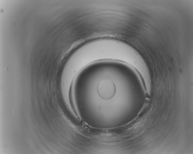 X0000061150256200512092006