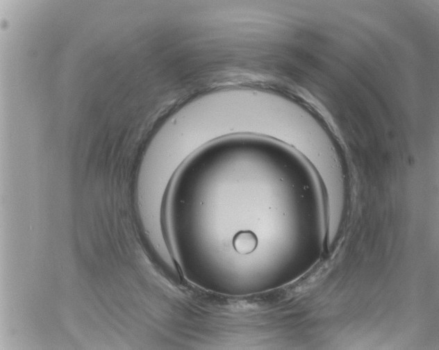 X0000061150257200512092006