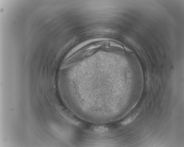 X0000061150258200512092006