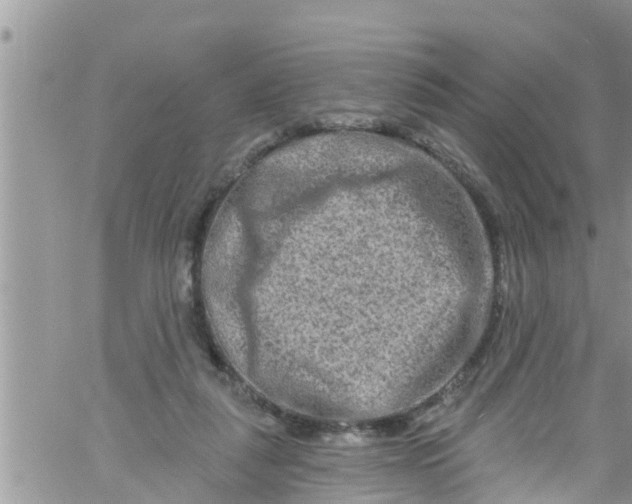 X0000061150259200512092007