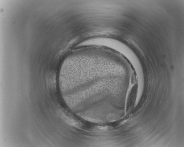 X0000061150260200512092007