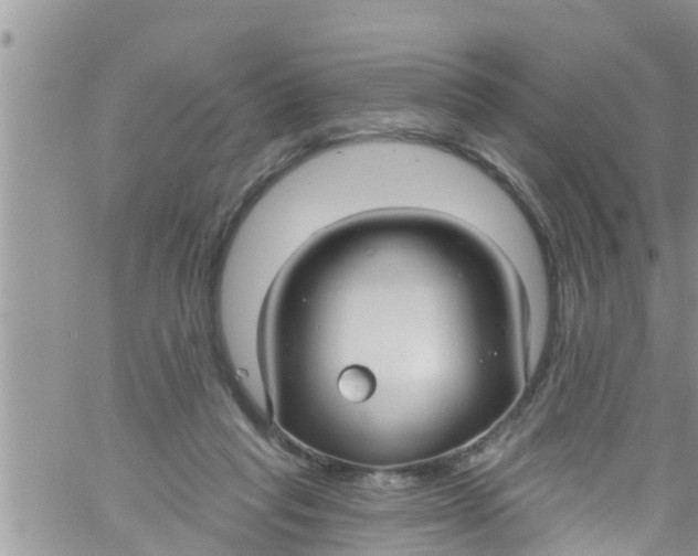 X0000061150261200512092007