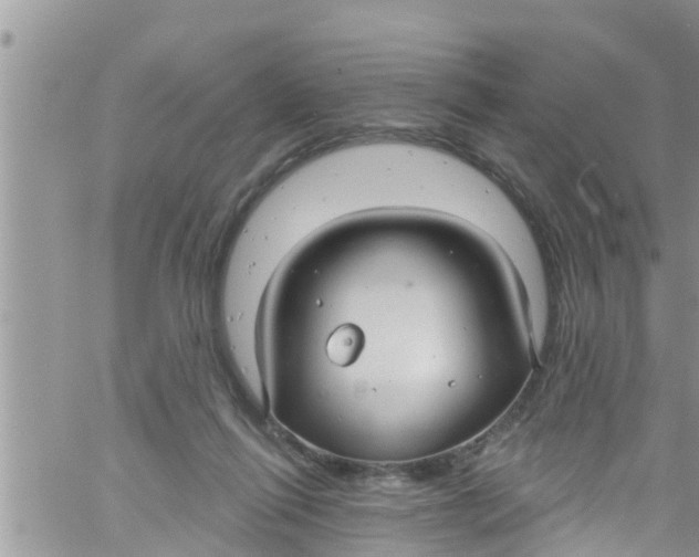 X0000061150262200512092007