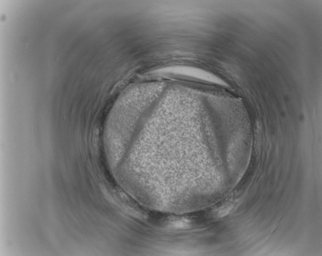 X0000061150263200512092007