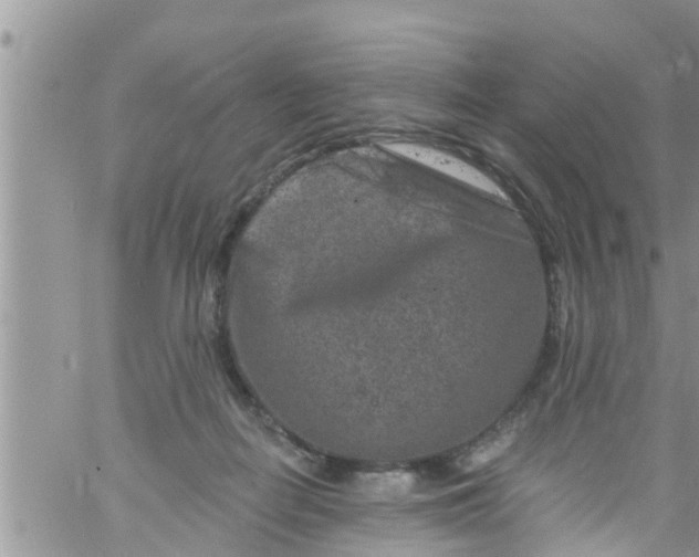 X0000061150266200512092007