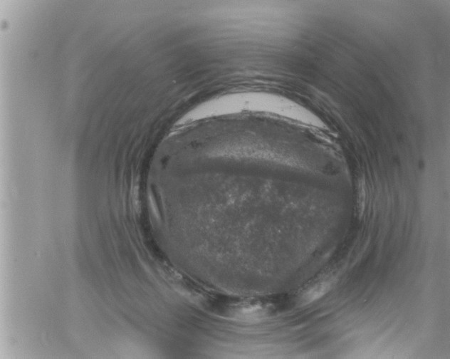 X0000061150267200512092007