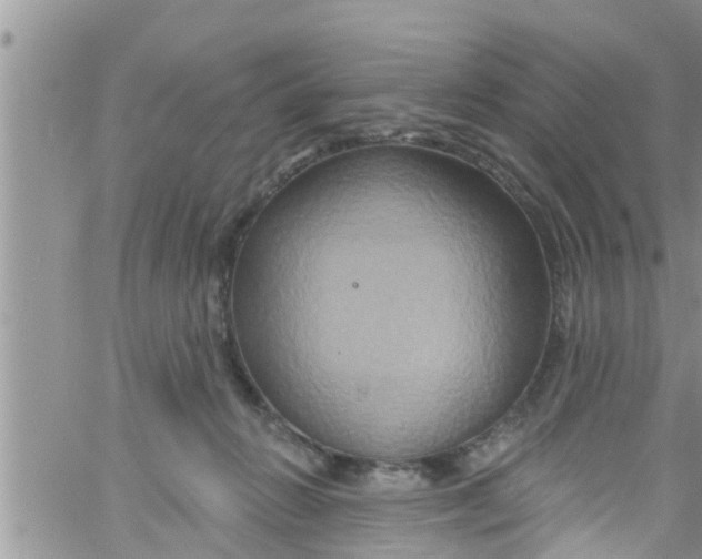 X0000061150270200512092007