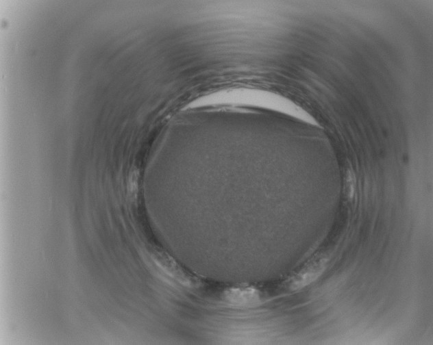 X0000061150271200512092007