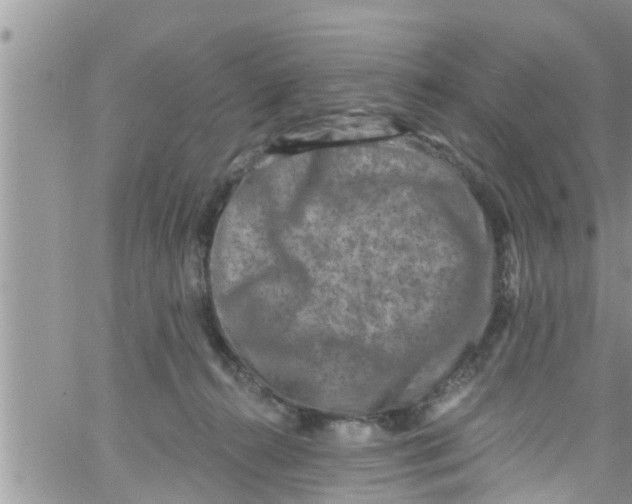 X0000061150272200512092007