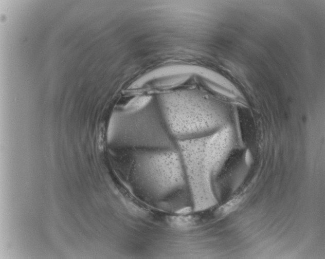 X0000061150273200512092007