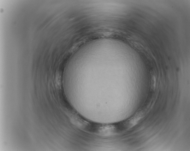 X0000061150274200512092007