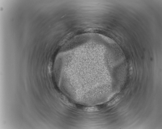 X0000061150275200512092007