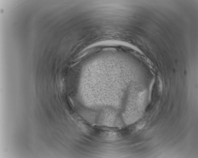 X0000061150276200512092007