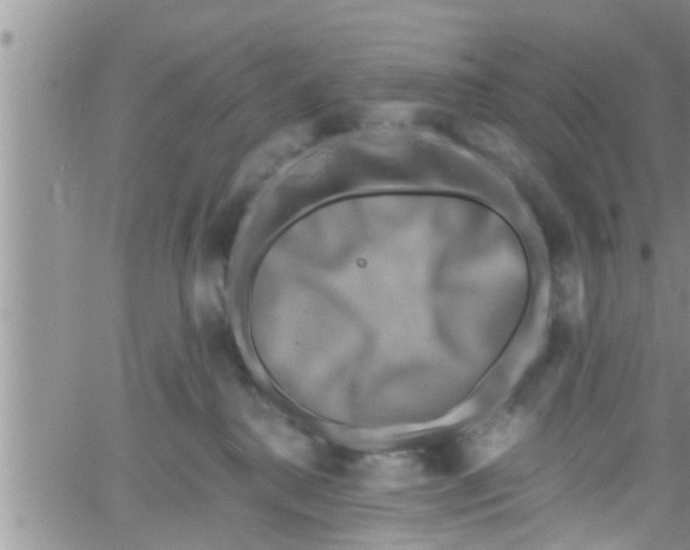 X0000061150280200512092007