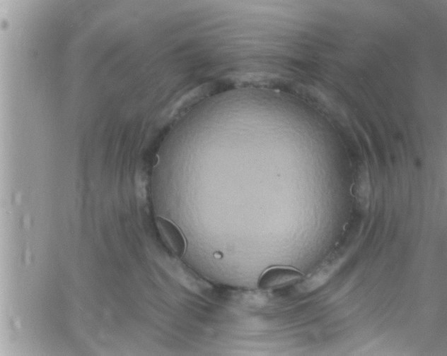 X0000061150282200512092007