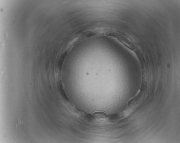 X0000061150283200512092007