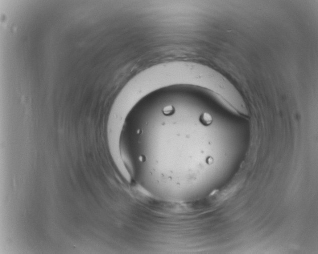 X0000061150288200512092007