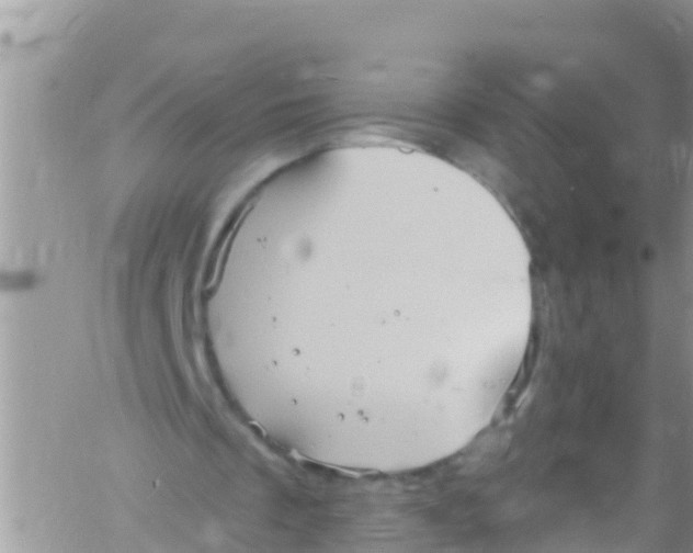 X0000061150289200512092006