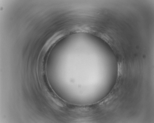 X0000061150291200512092006