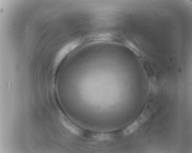 X0000061150293200512092006