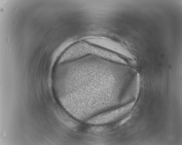 X0000061150294200512092006