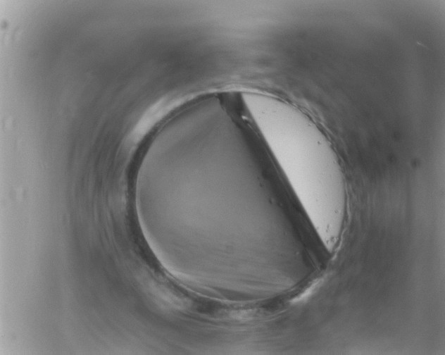 X0000061150295200512092006