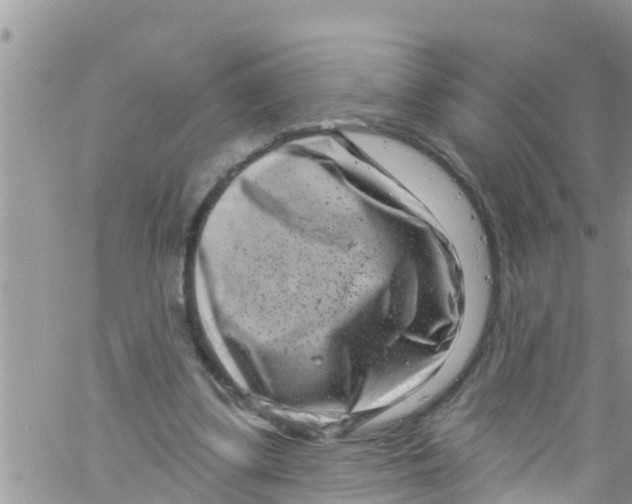 X0000061150299200512092006