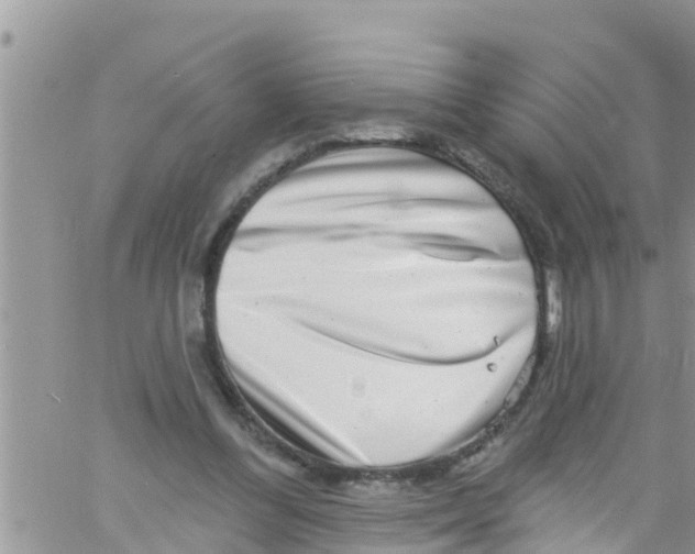 X0000061150300200512092006