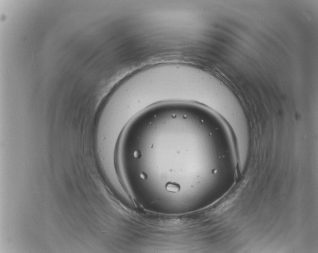 X0000061150301200512092006